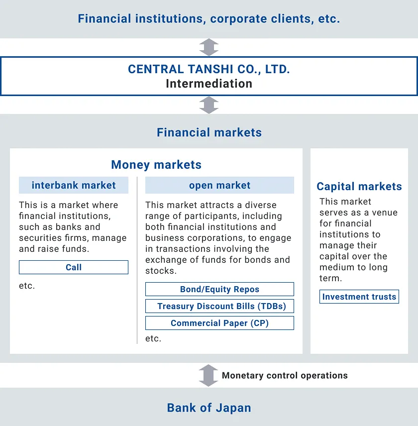 Overview of the Short-Term Money Market